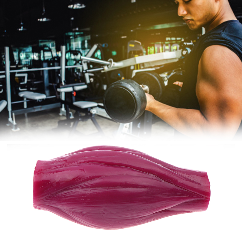 Nutrition Fitness Center - 1파운드의 근육을 유지하기 위한 모델, 체중